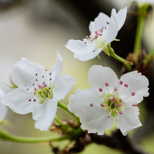 中国spinking实践视频
